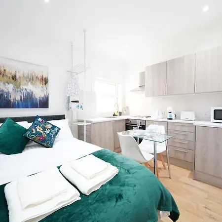 New Central Studio Apartment London 3